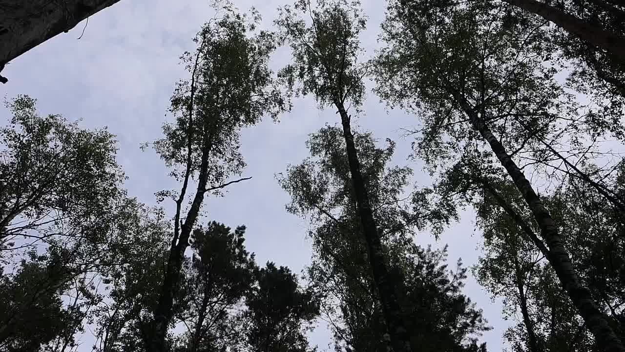 Молебен на святом источнике п. Фосфоритный