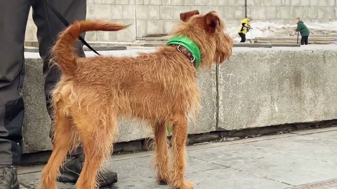 Репортажный фотограф. Валентина Похомова — профессиональный фотограф в Екатеринбурге