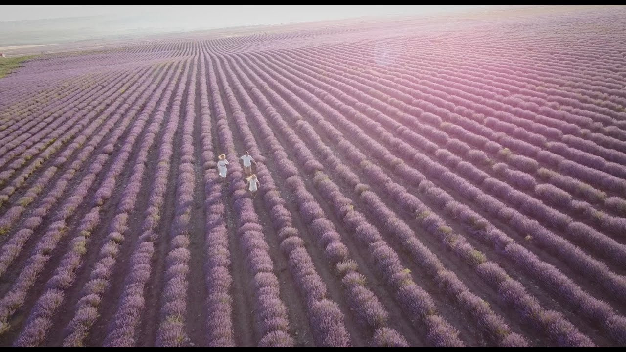 БЕСКРАЙНЕЕ | СЧАСТЬЕ. Свадебный и семейный видеограф Чернышова Ольга + 7 961 525 45 06