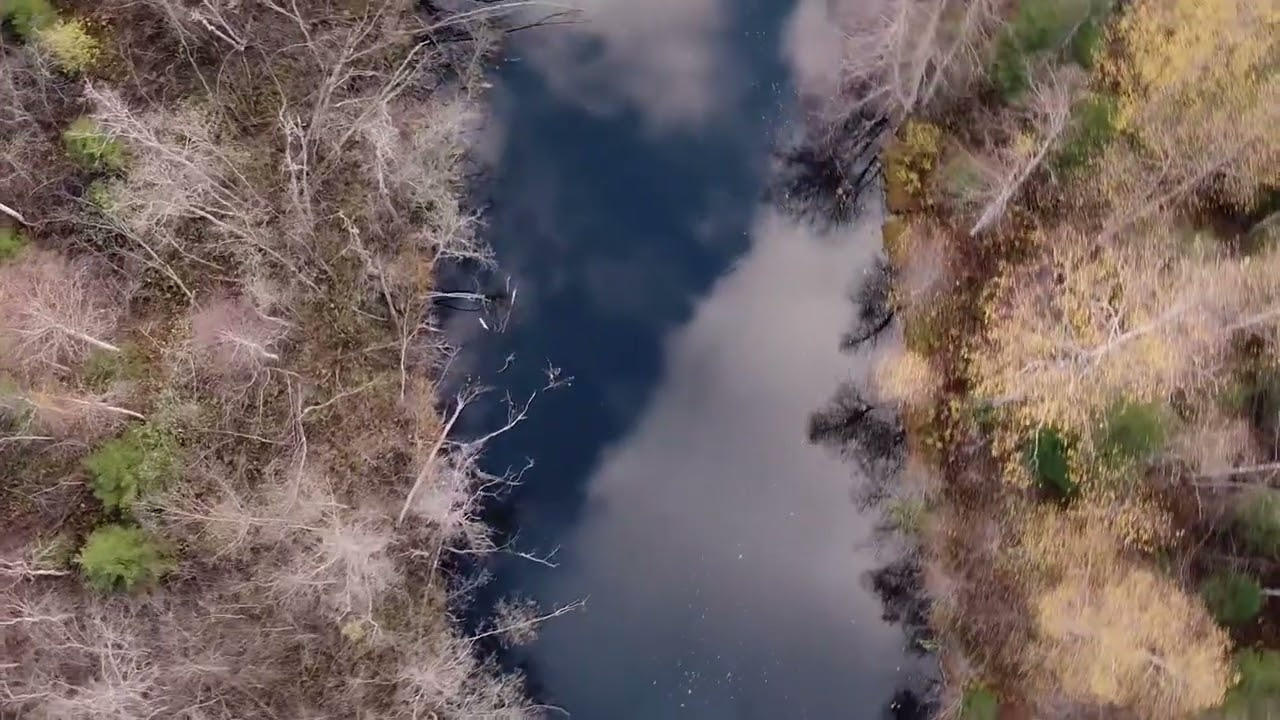 DJI mavic. Фотограф и видеограф в Израиле Соня Скай