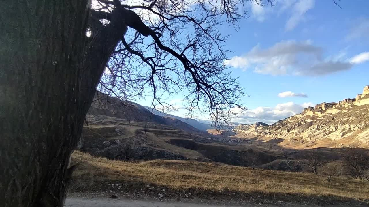 Видеоролики. Фотограф на Бали|Свадьба на Бали