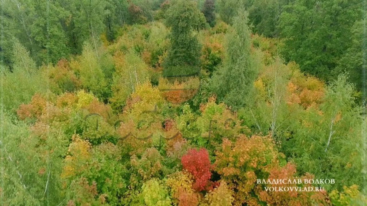 Владислав Волков | Видеосъемка мероприятий в Воронеже. Портфолио. Владислав Волков | Фотография и видеосъемка в Воронеже