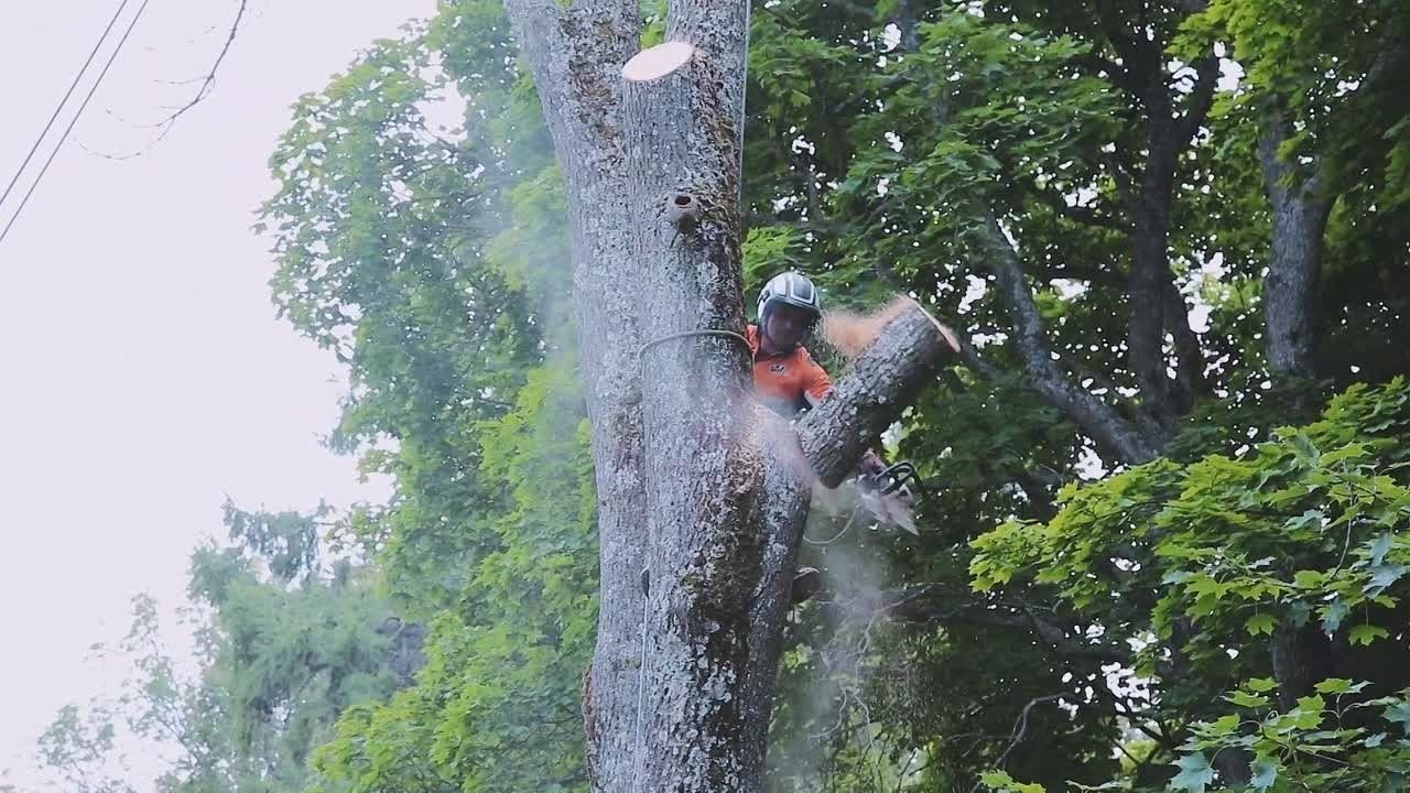 Примеры видео. JUSTDOITBRATFILMS