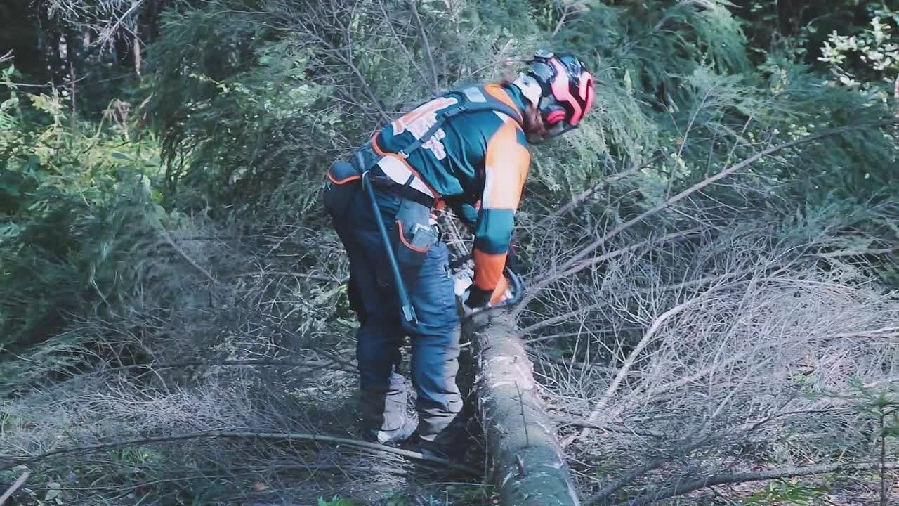 Примеры видео. JUSTDOITBRATFILMS