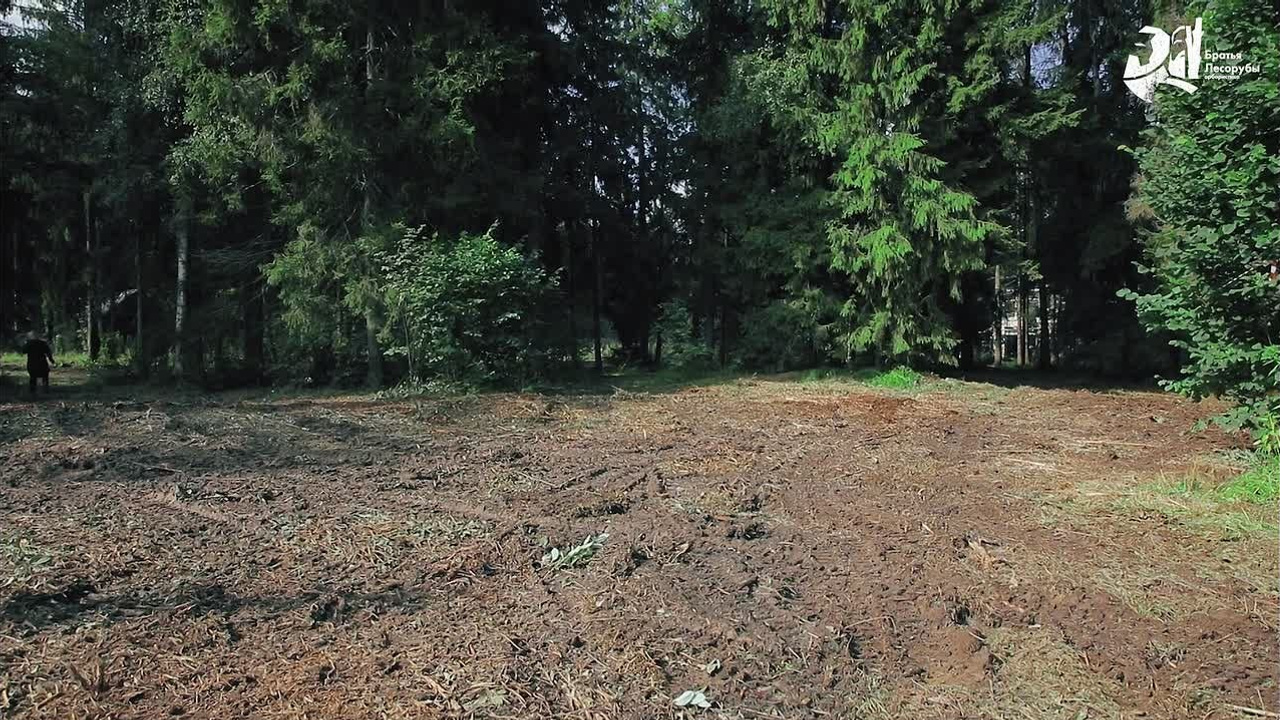 Примеры видео. JUSTDOITBRATFILMS