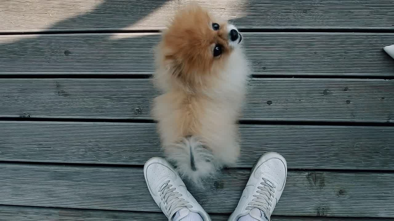 Свадебные видео. JUSTDOITBRATFILMS