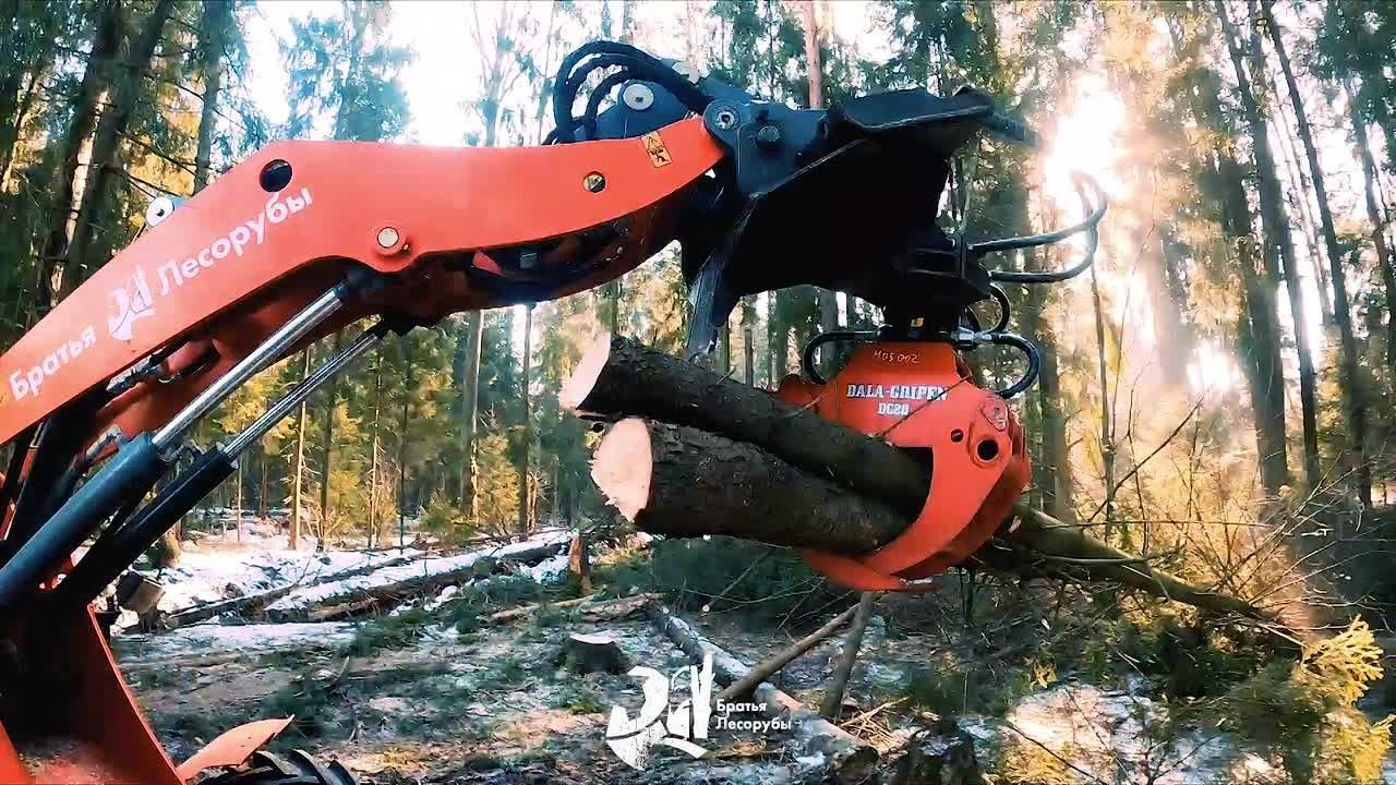 Примеры видео. JUSTDOITBRATFILMS