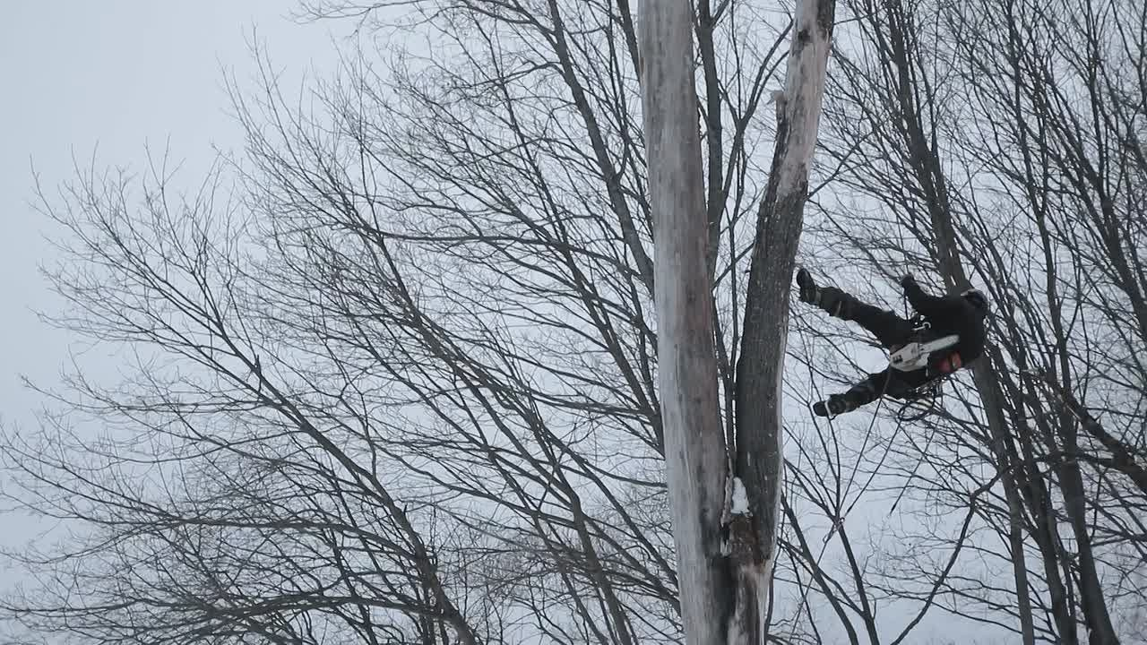 Примеры видео. JUSTDOITBRATFILMS