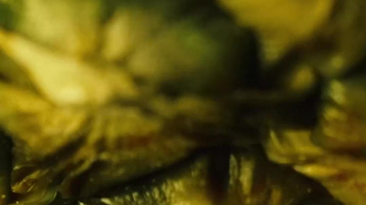 Рилс. Фото и видеосъемка КМВ — свадьбы, недвижимость, меню, туры. Пятигорск, Кисловодск