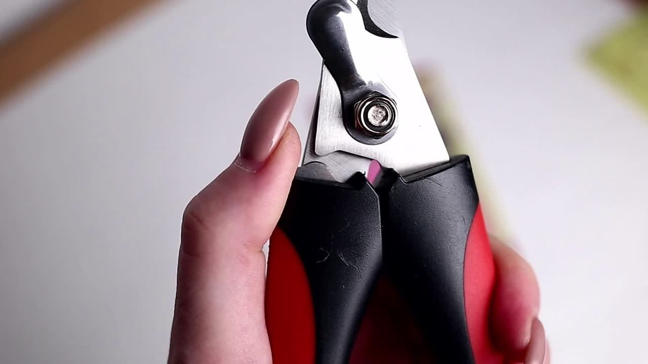 Видео-ролики. Предметная, рекламная фотосъёмка в Орле. Предметный фотограф в Орле