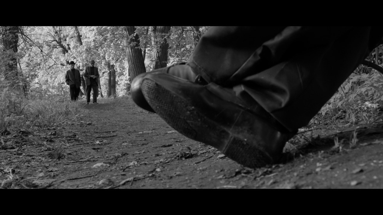 Short film «Граммофон веков». Фомин Андрей | Цветокоррекция видео