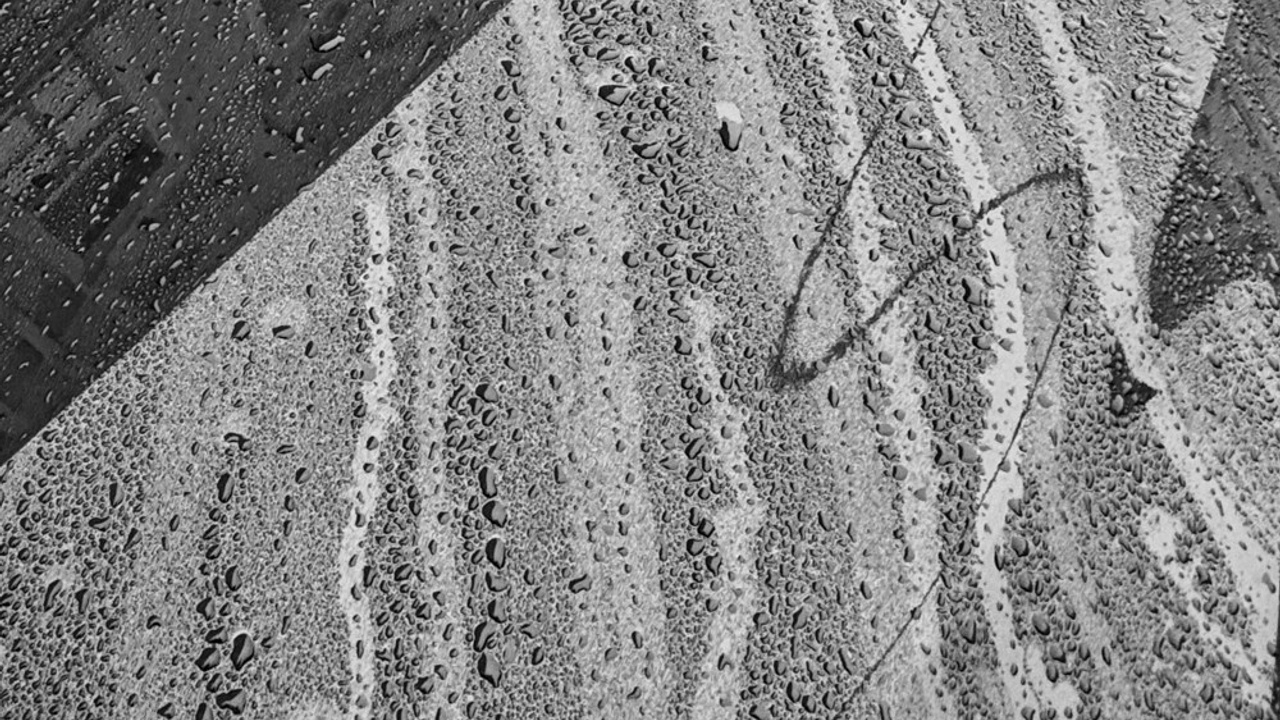 Городская сюита