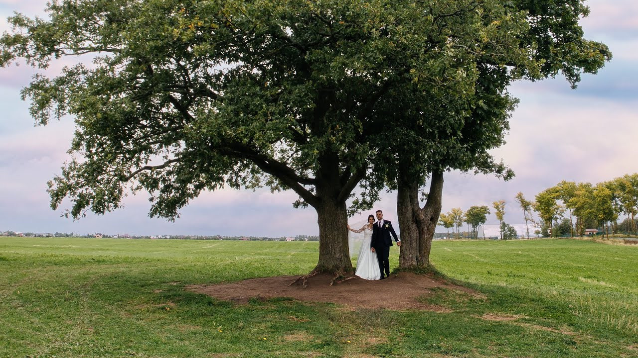 Свадебные клипы и фильмы. Свадебный фотограф и видеограф — Сергей и Дарья
