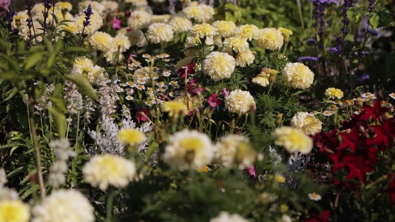 Свадебные клипы и фильмы. Свадебный фотограф и видеограф — Сергей и Дарья