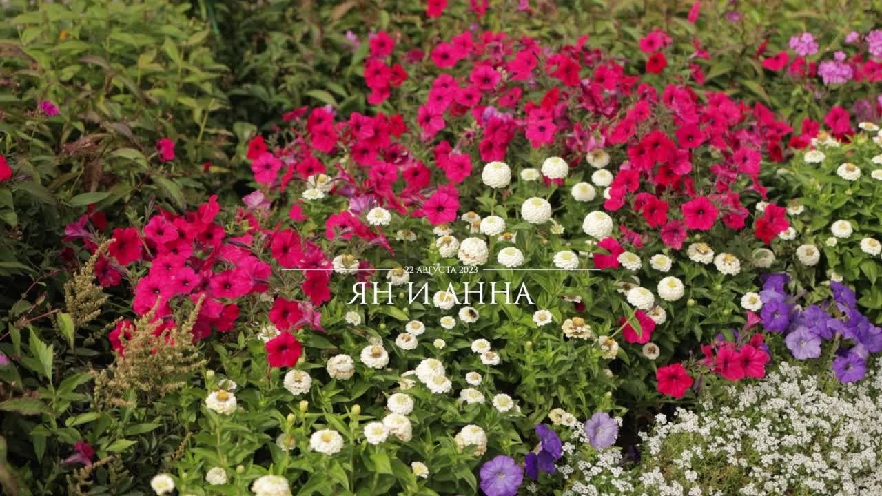 Свадебные клипы и фильмы. Свадебный фотограф и видеограф — Сергей и Дарья