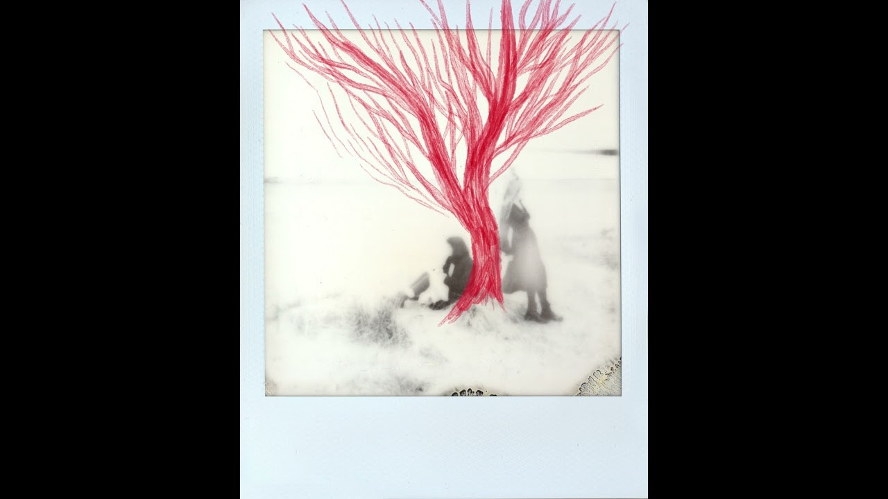 Drawings&animation. Morskyakanulavmorya