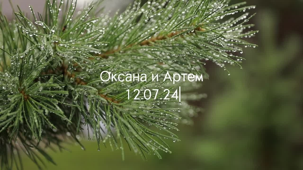 Оксана и Артем. Семейный и свадебный фотограф Лилия Матонина | Ангарск, Иркутск, Усолье-Сибирское, Байкал (Листвянка, Ольхон), Иркутская область