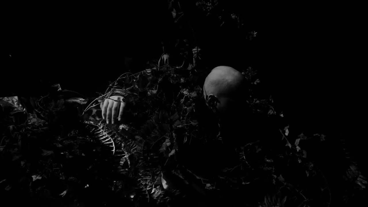 Портфолио. ТK