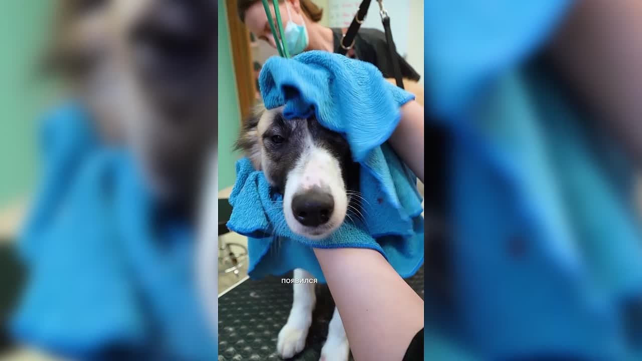 Вертикальный формат — Reels, Shorts, VK Клипы