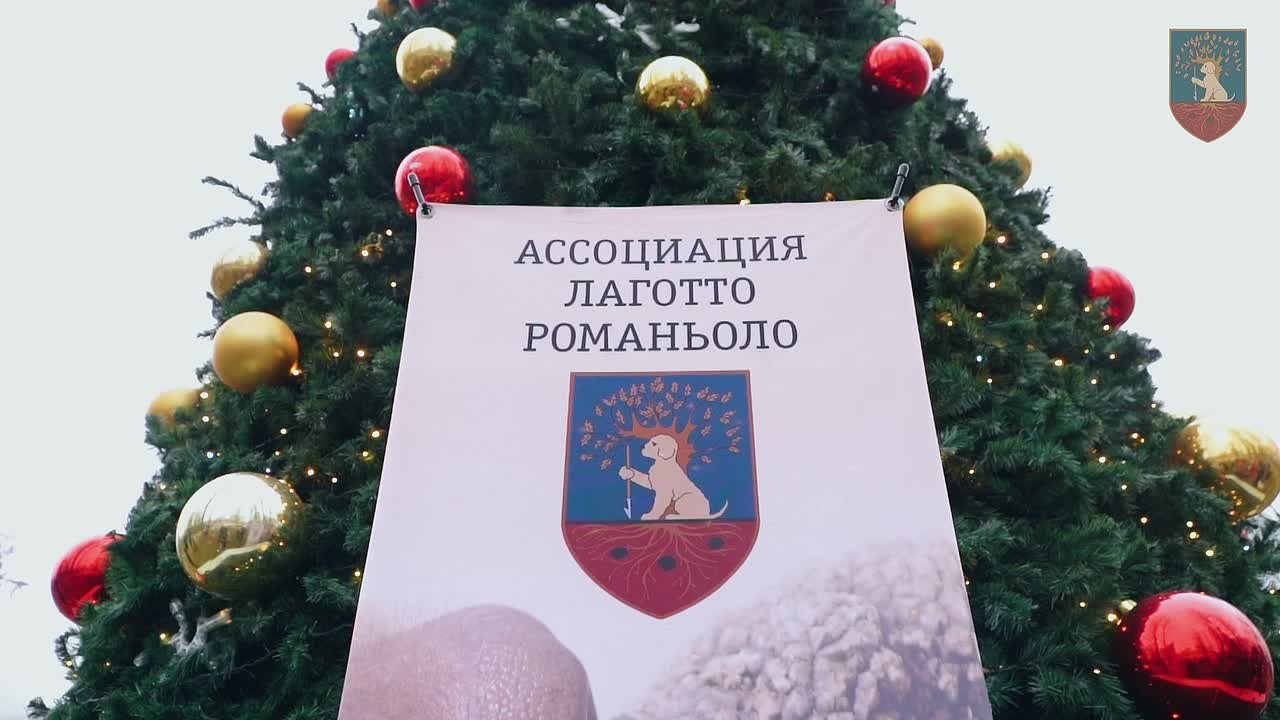 Репортажное видео с мероприятий