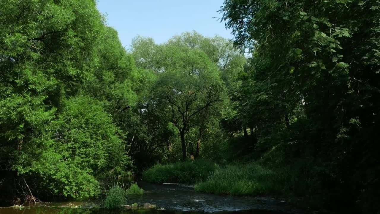 Видео для бизнеса