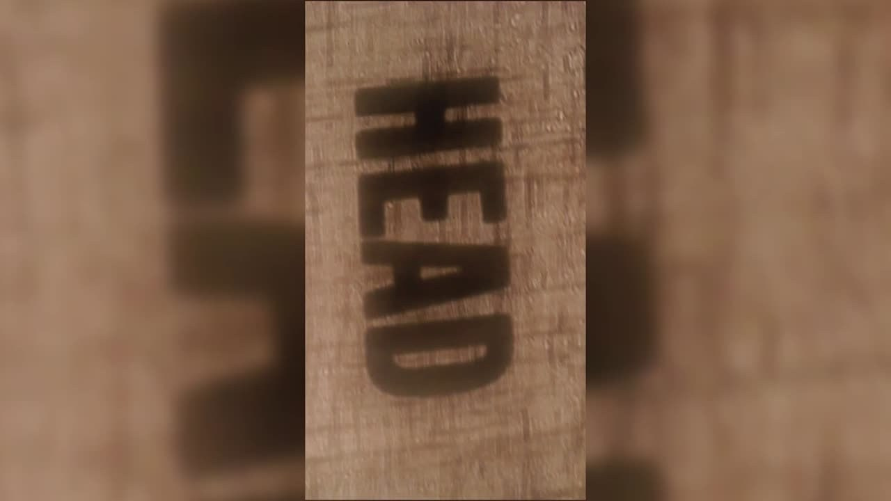 Видео для музыкальных исполнителей