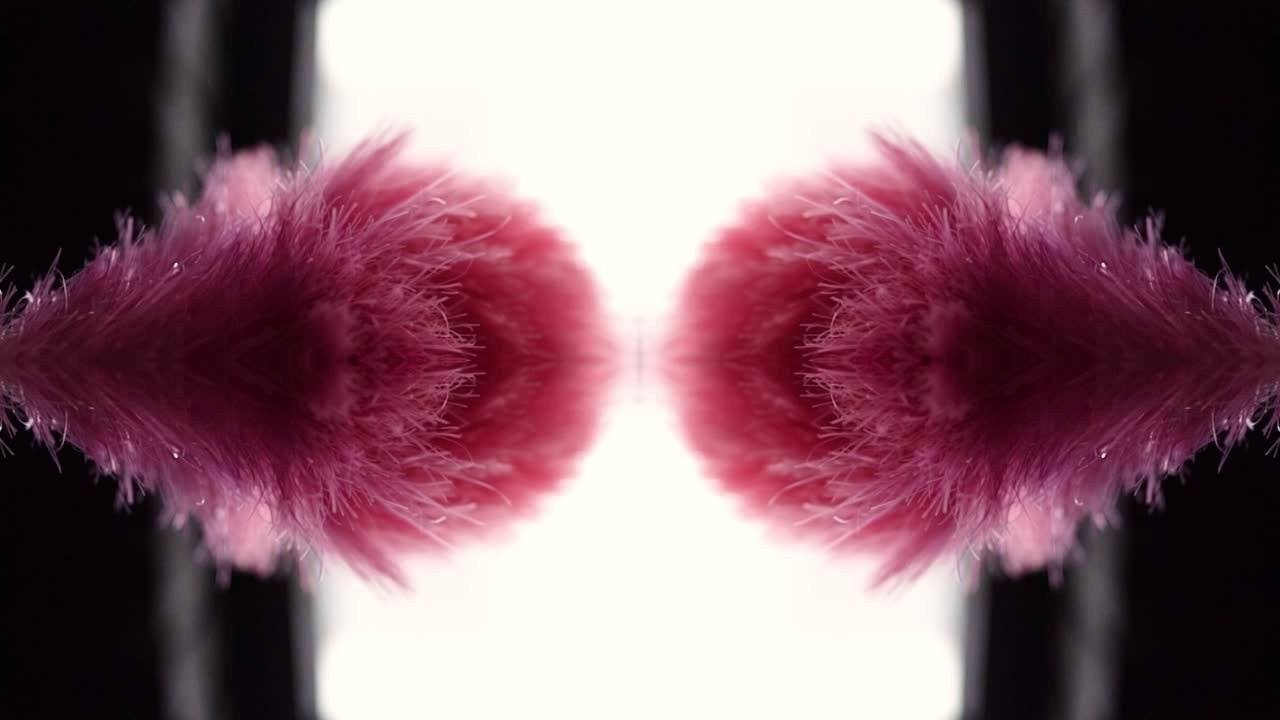 Видеокосплей, видео с фестивалей и музыкальные бэкстейджи