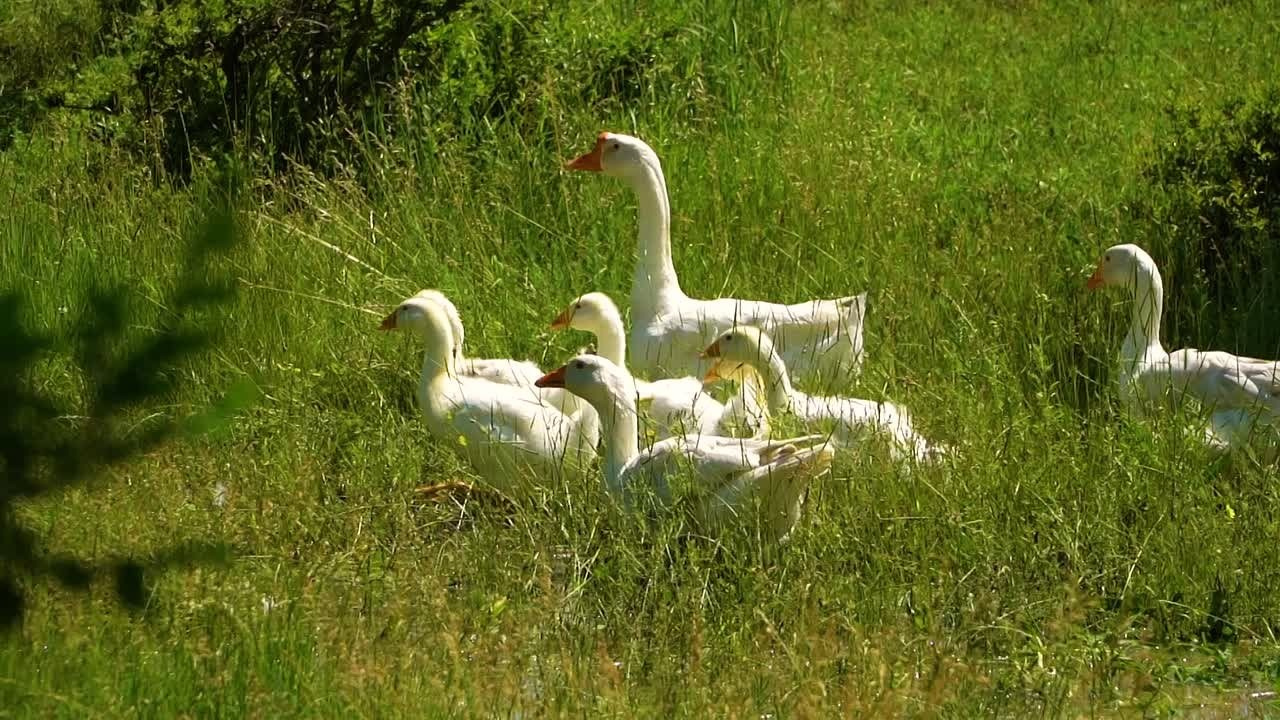 Отдых и туризм в Ставропольском Крае