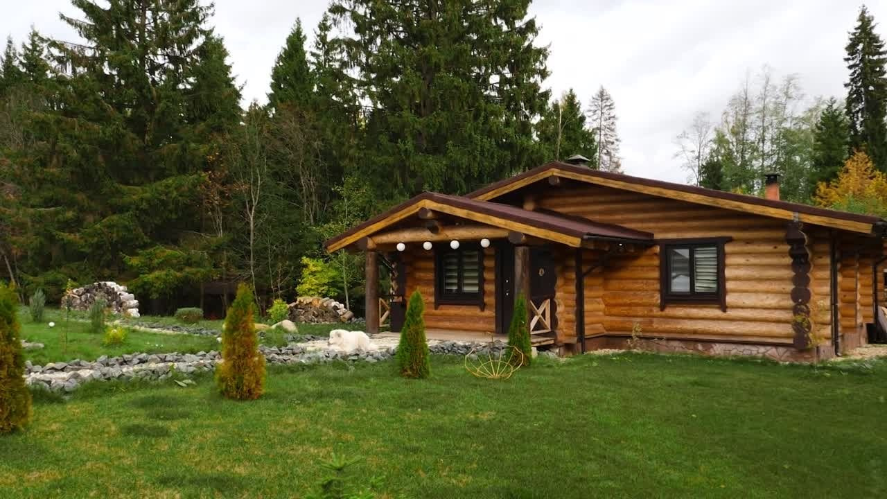 Видео для бизнеса