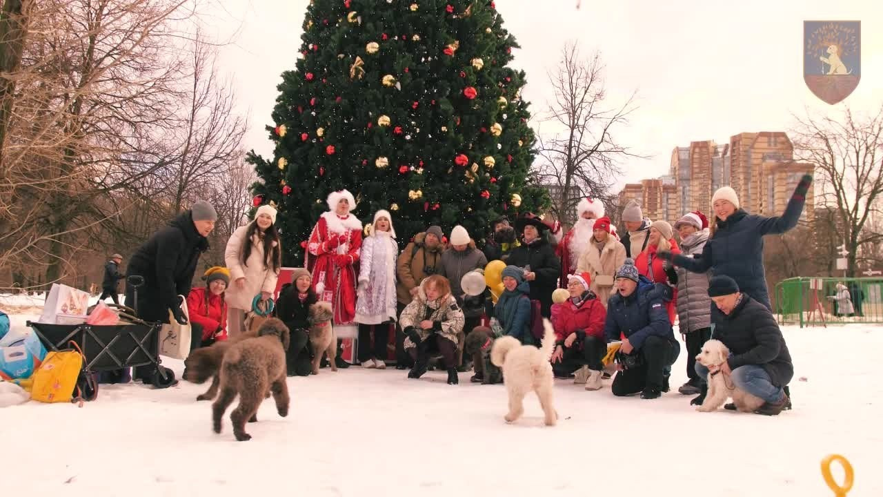 Репортажное видео с мероприятий