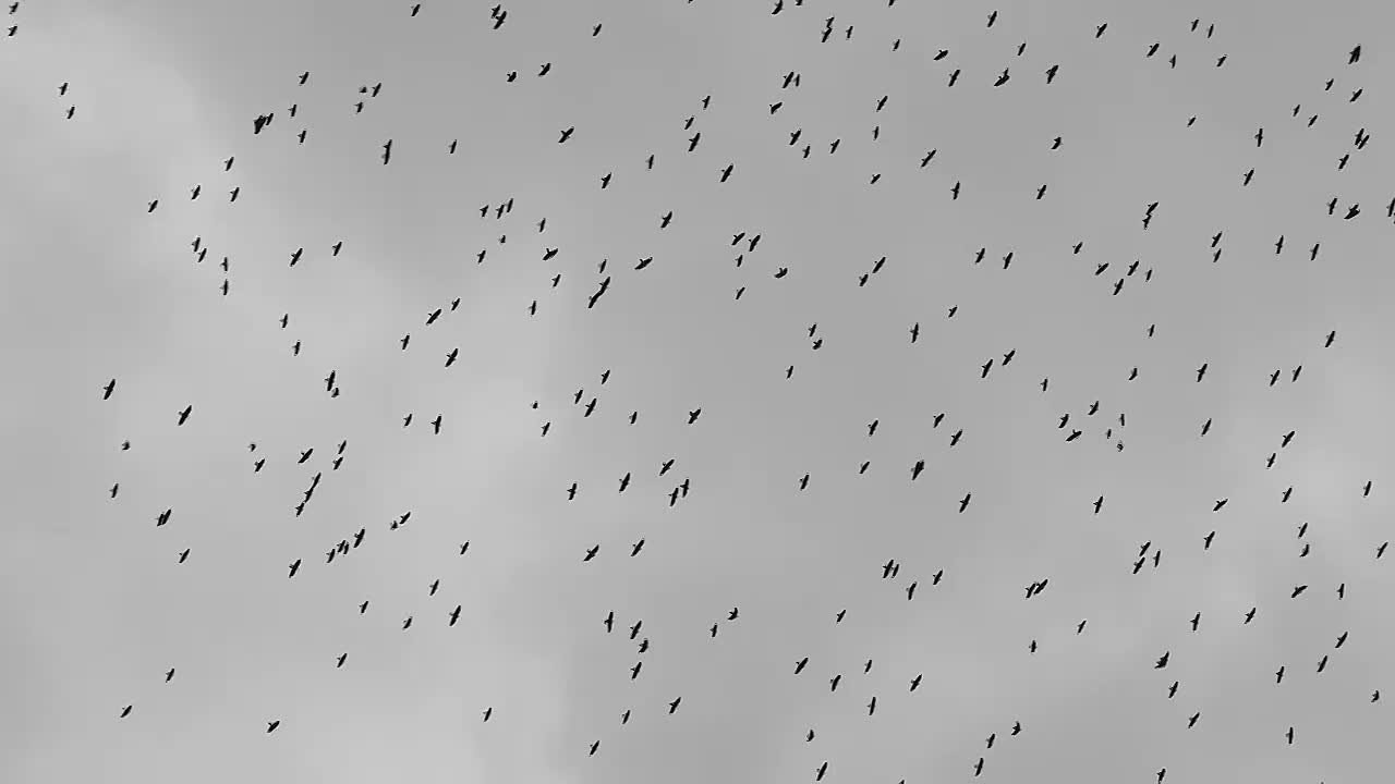 ДУША. Семейный и newborn фотограф в Уфе Елена Сакурова