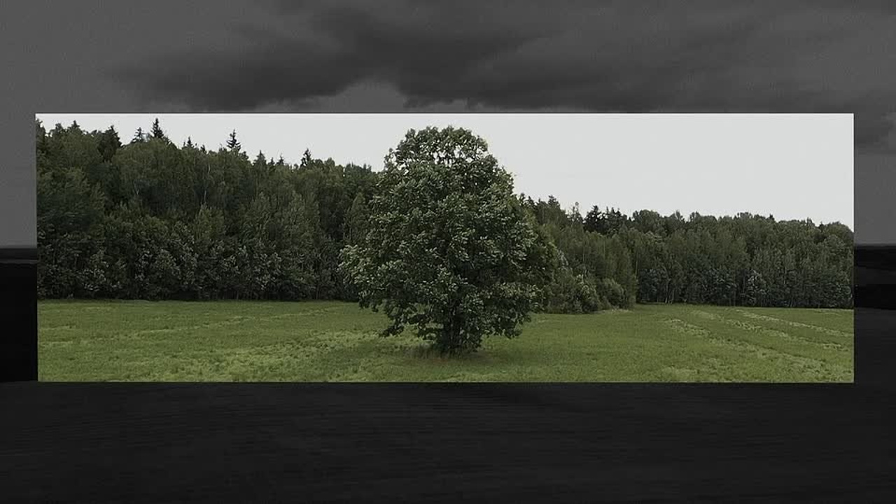 ФИЛЬМЫ. Свадебный видеограф Беларусь Орлов Егор