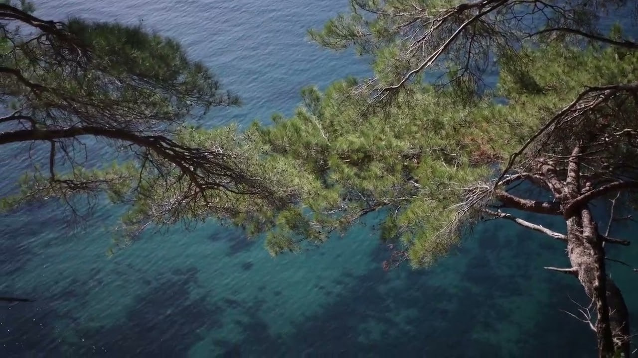 Видео. RetroChic Фото