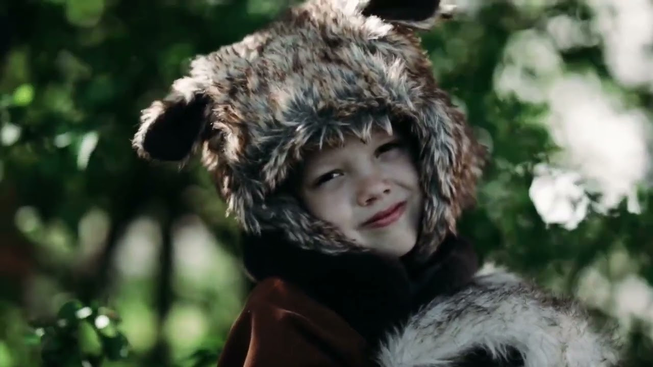 ВИДЕОРОЛИКИ