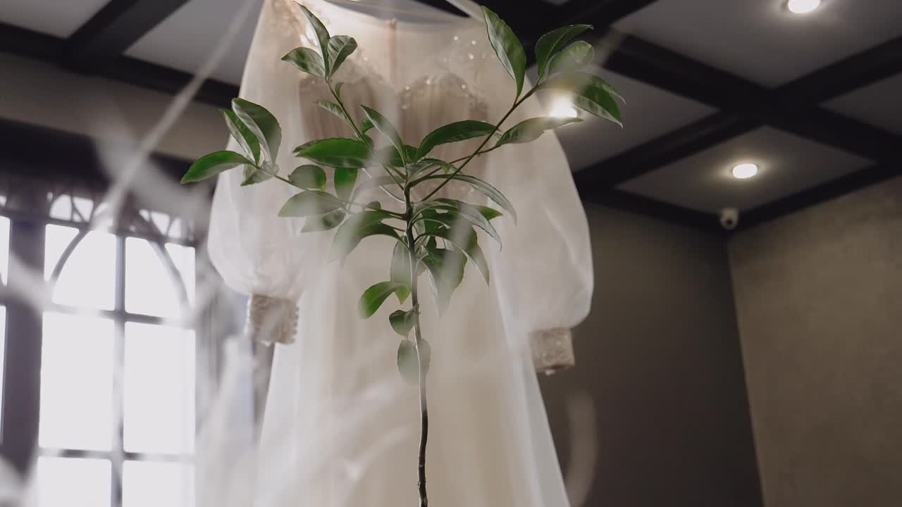 Свадебное видео