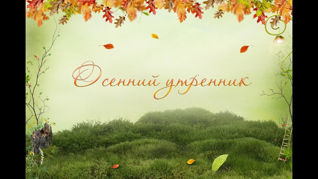 Съемка — утренники. Свадебный и семейный фотограф Марина Душаткина