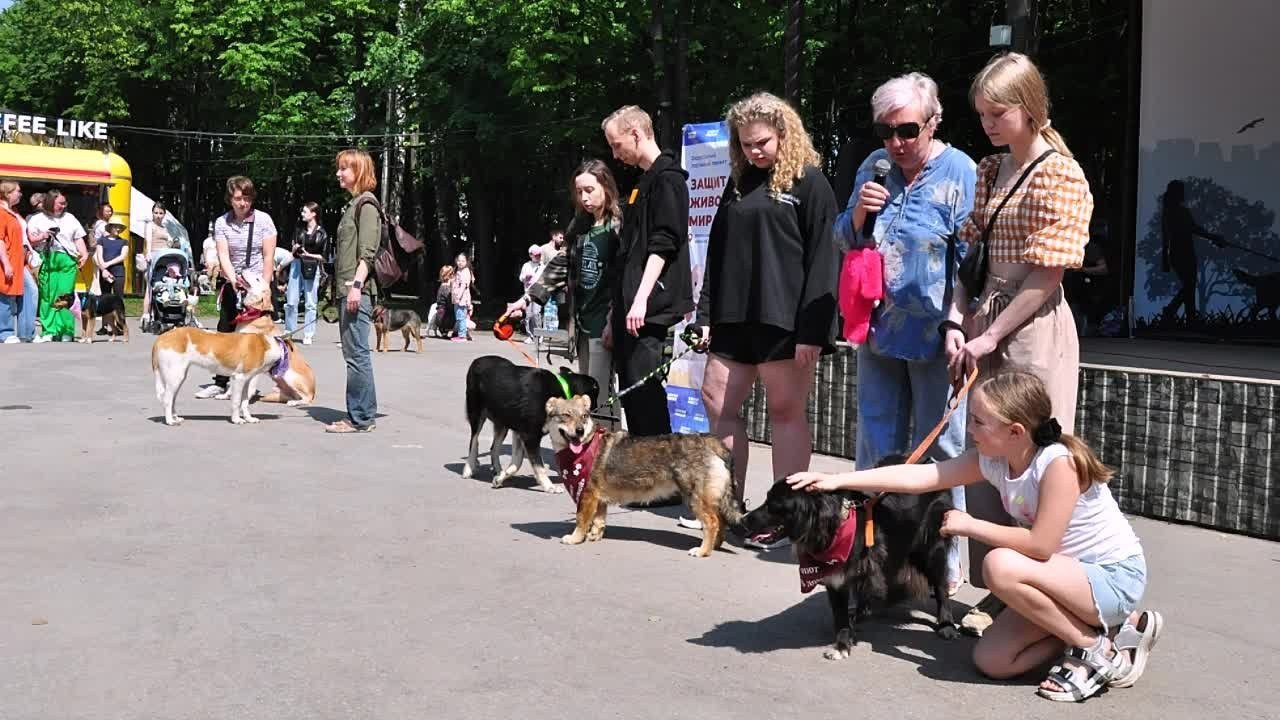 Слайд-шоу. Фотостудия Портрет Свадебный и семейный фотограф в Рязани