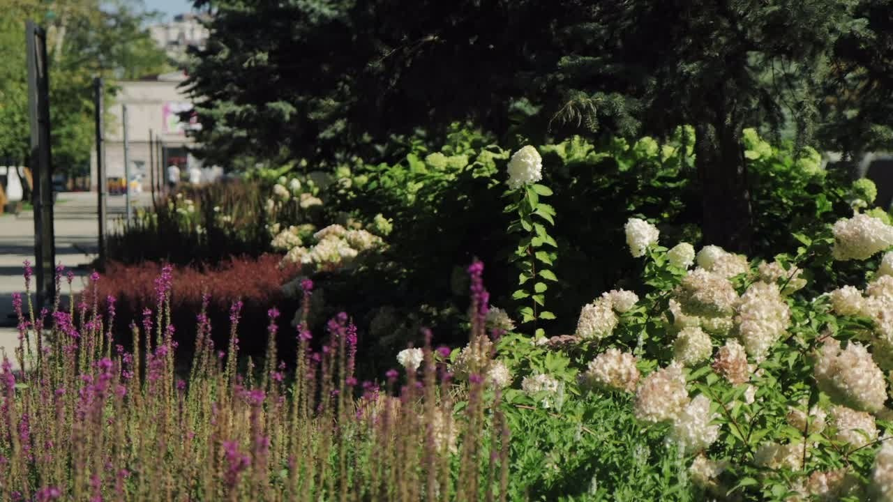 Европейский газон. Видеосъемка|репортаж, клипы, документальное, видео для бизнеса!