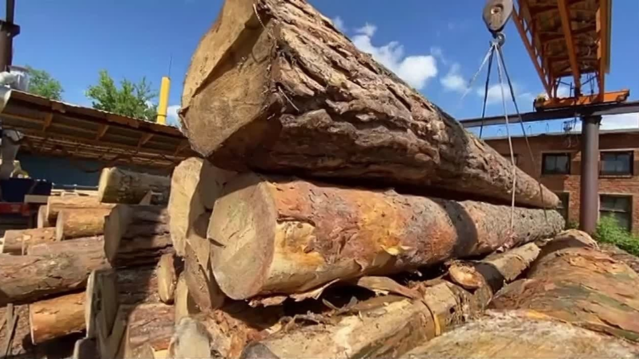 РЕКЛАМА. Видеограф Респулибка Башкортостан