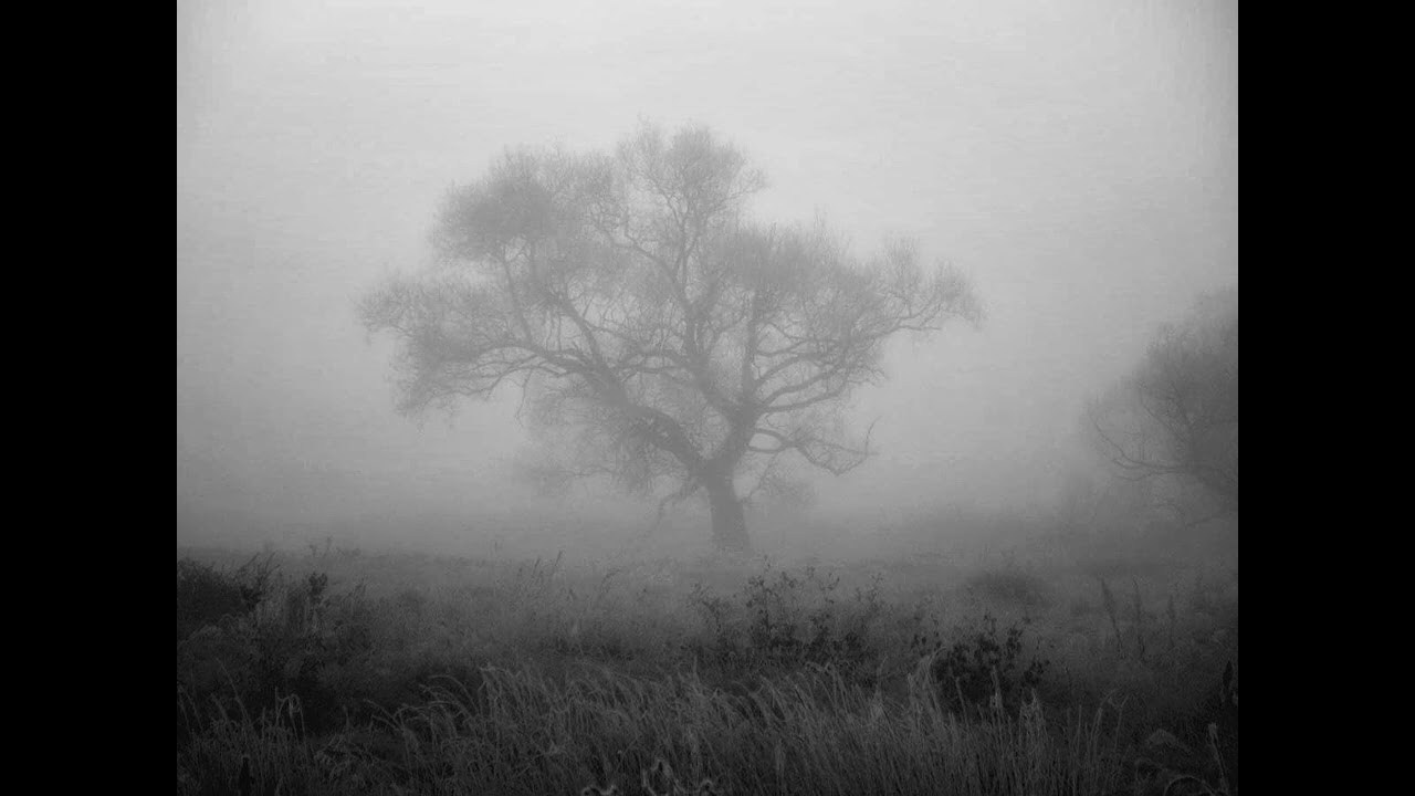 Audio — AI. Elenka Donbrova photogtapher