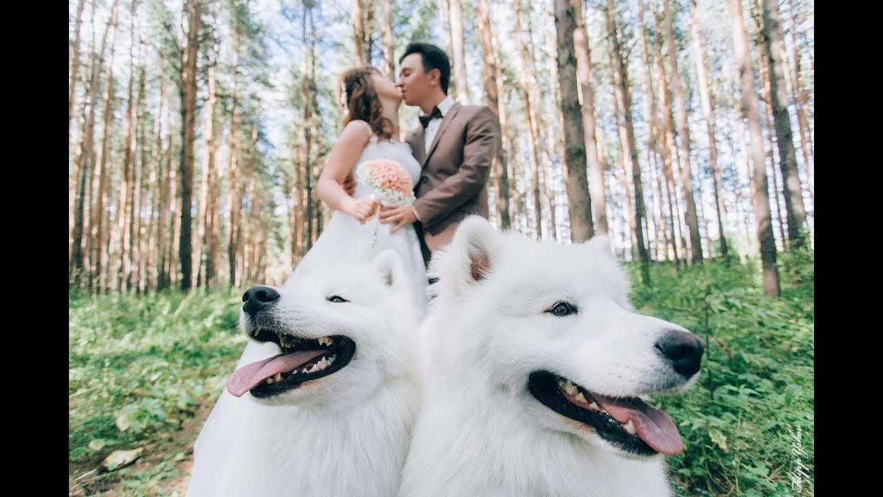 Ожившие фото. Фотограф Ижевск Филипп Усков