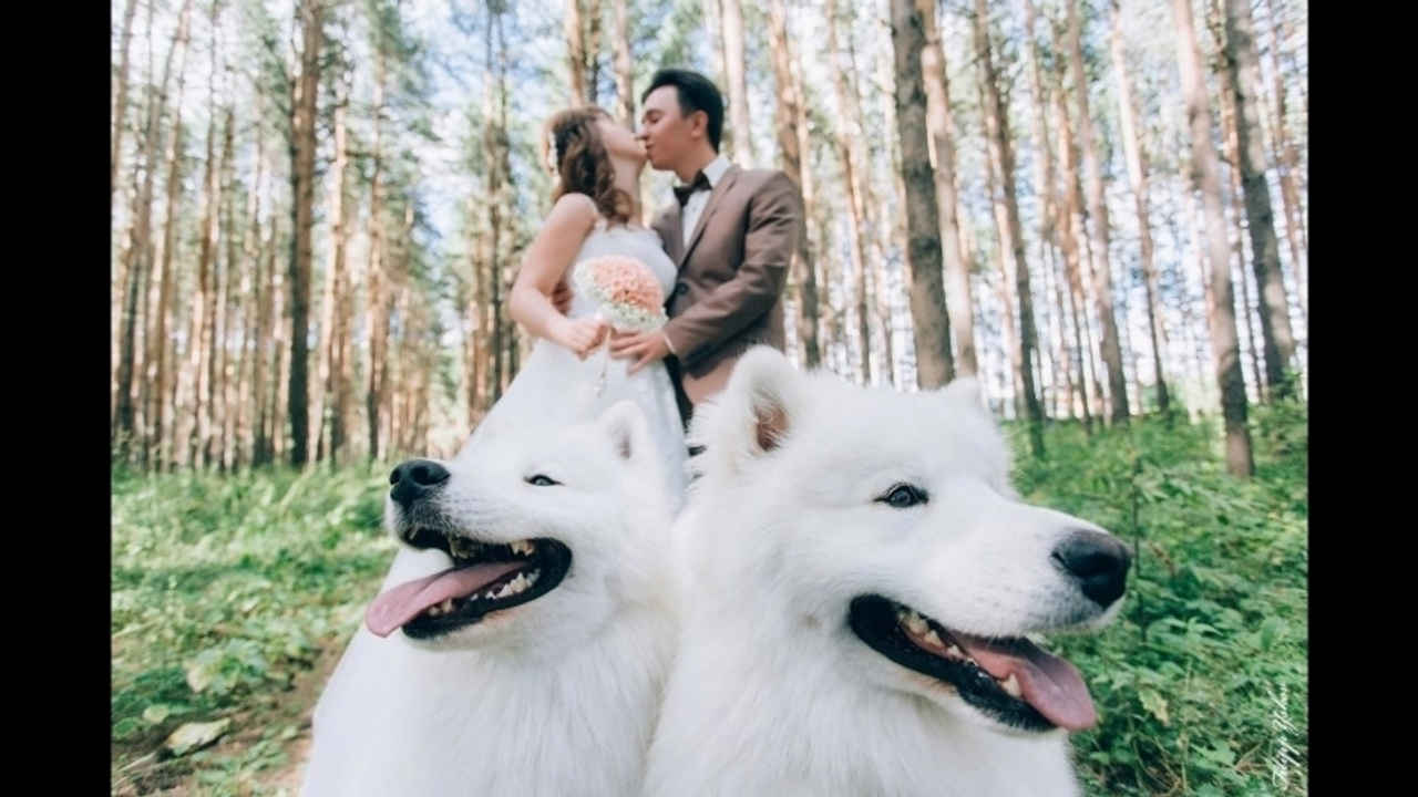 Ожившие фото. Фотограф Ижевск Филипп Усков