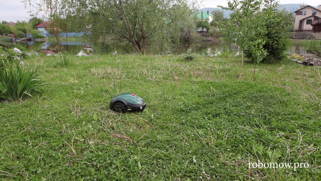 Видеоосъемка в Самаре. Фотограф Татьяна Малушкина