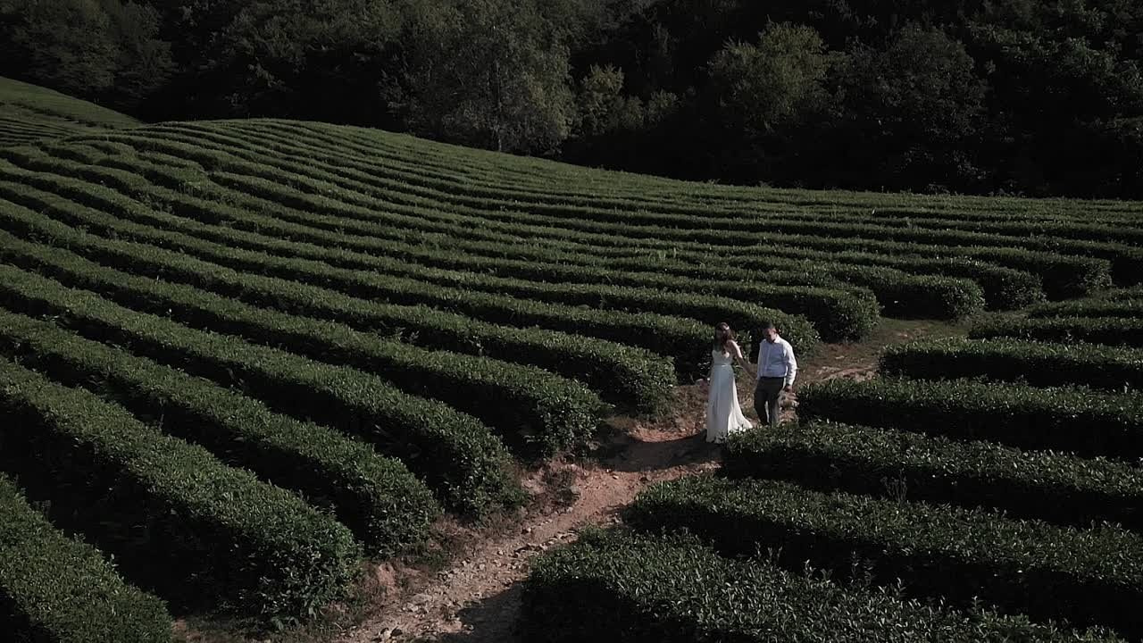 Портфолио. Видеограф на свадьбу Антон Романов