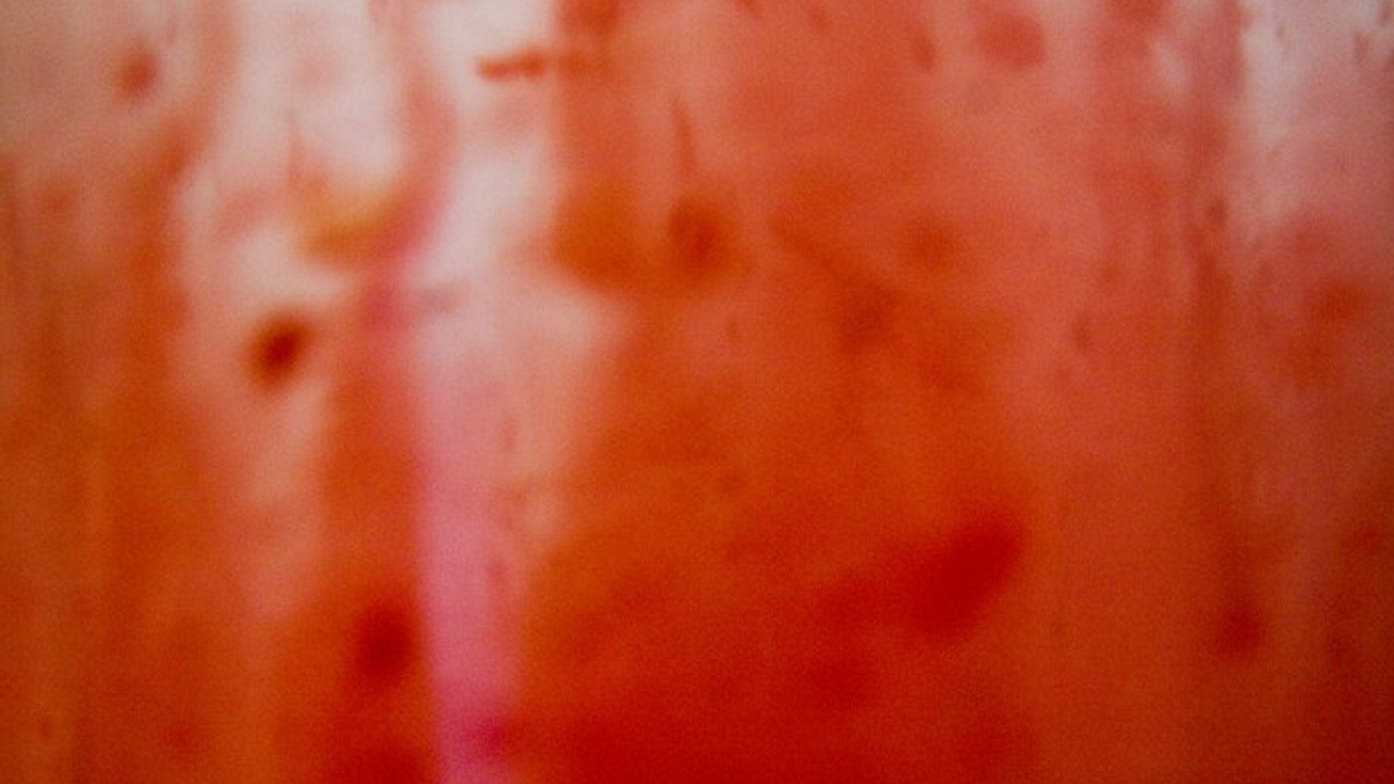 Video. Янина болдырева Yanina Boldyreva