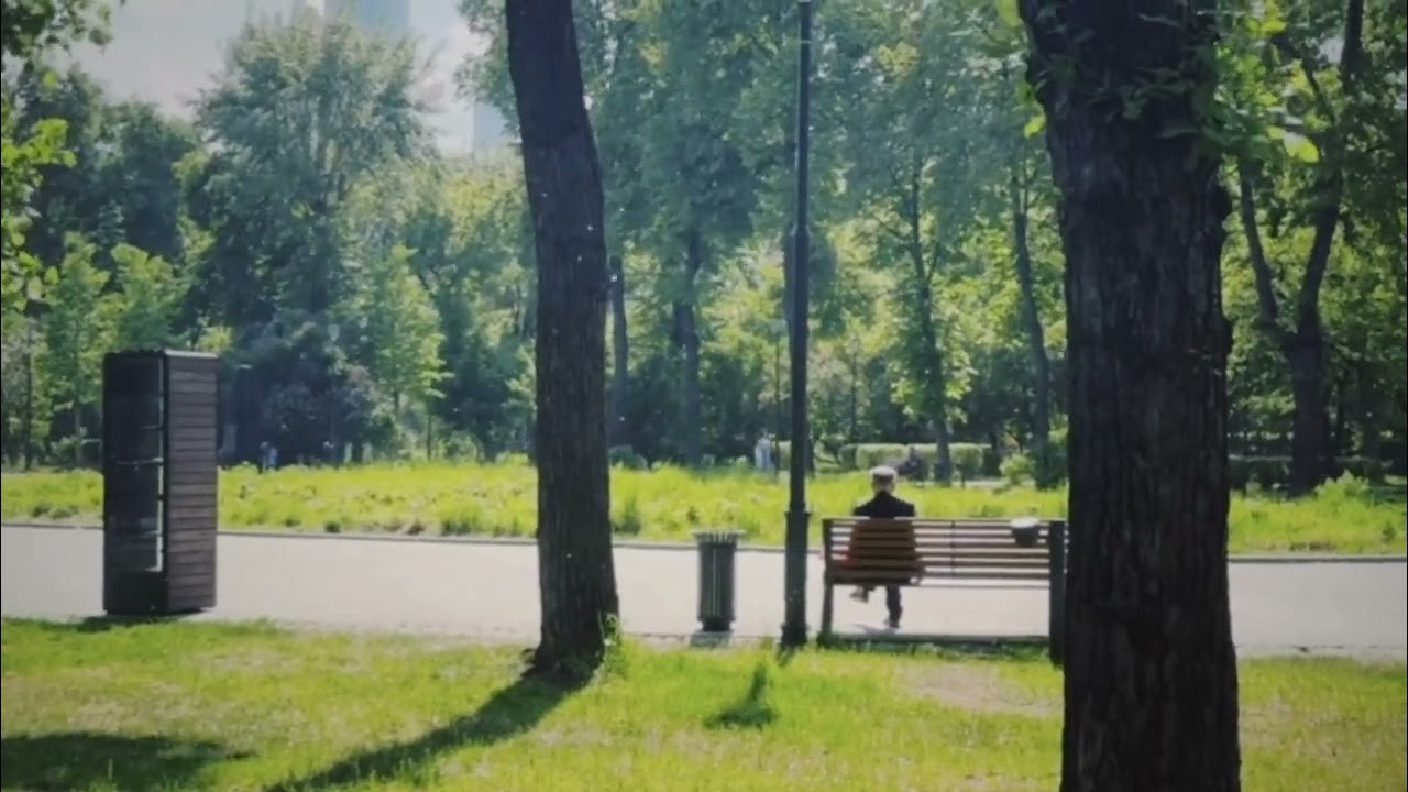 Видео by vdoviinaa. Плёночный фотограф — Москва