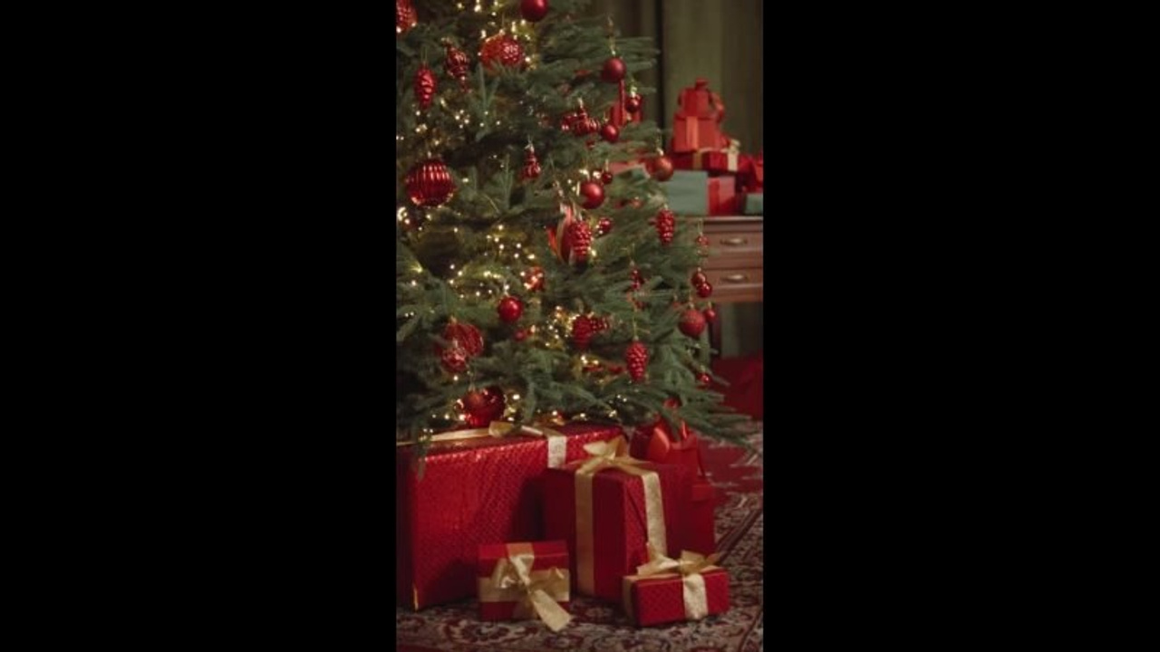 История — Малый зал. Лидия Фотограф Воронеж