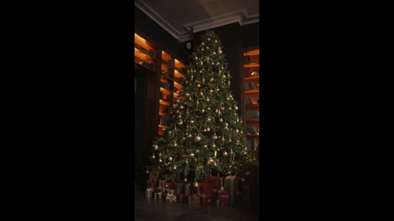 История — Библиотека. Лидия Фотограф Воронеж