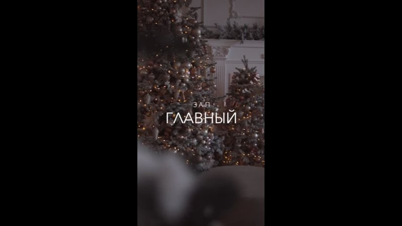 История — Главный Зал. Лидия Фотограф Воронеж