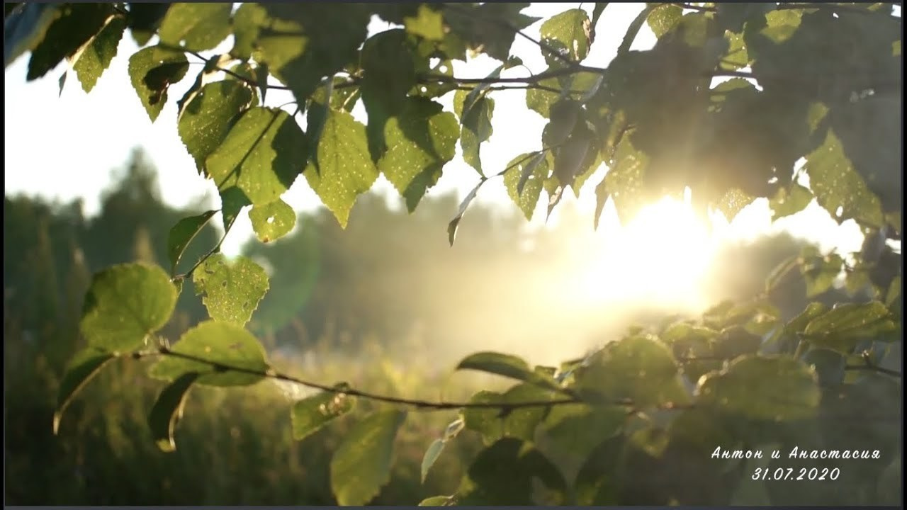 Видео. Свадебный и семейный фотограф в Нижнем Новгороде Варламов Алексей